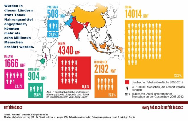 Grafik Tabakanbau und Unterernährung