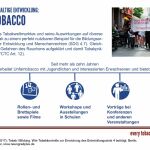 Grafik Unfairtobacco, SDG-Factsheet Tabak | Bildung