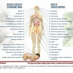 Graphic, SDG-Factsheet Tobacco | Decent Work, secondhand smoke