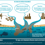SDG-Factsheet, Wie Tabak die Gewässer verschmutzt, Nikotin, Pestizide, Chemikalien