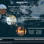SDG Factsheet No. 6 Tobacco | Forests graphic